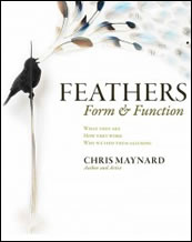 Feather, Form, and Function: What they are, how they work, and why we find them alluring by Chris Maynard
